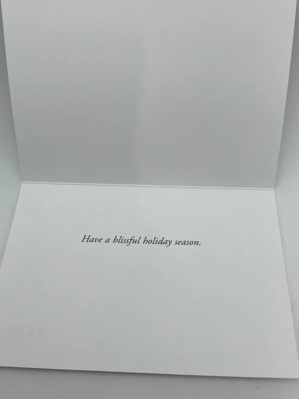 Cat Christmas Card Paris Bottman Bliss Cat Ice Skating Large Beautiful